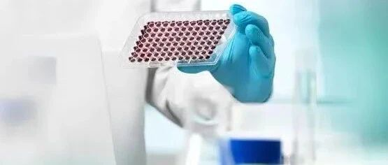 一文了解在新加坡从事医疗器械行业的基本要求和注册流程
