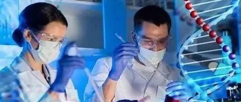 一文了解新加坡药品药械注册体系