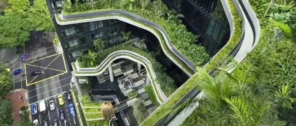 中资公司出海(新加坡)架构详解和主要功能解析