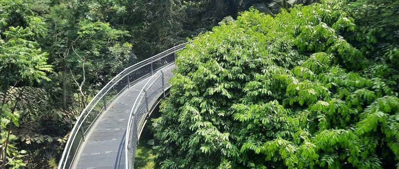 在跨境合同谈判中,如何选择合同适用法和争议解决方式?